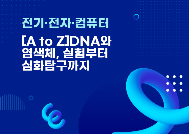 탐구보고서 이미지