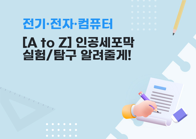 탐구보고서 이미지