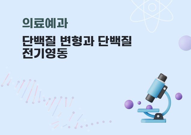 탐구보고서 이미지