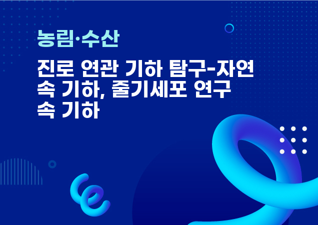 탐구보고서 이미지