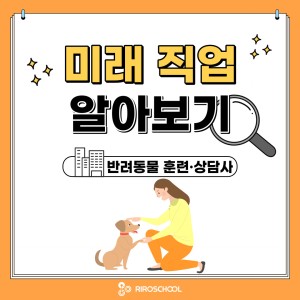 진로정보 이미지