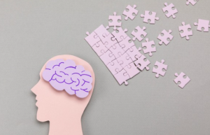 진로정보 이미지