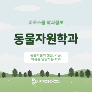 진로정보 이미지