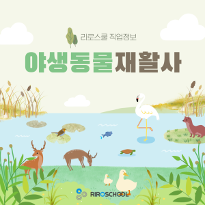 진로정보 이미지