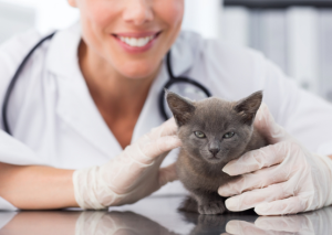 진로정보 이미지