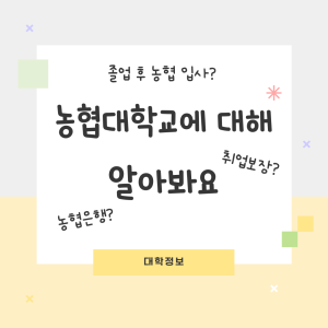 진로정보 이미지