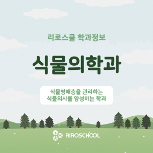 진로정보 이미지