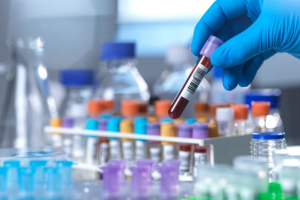 진로정보 이미지