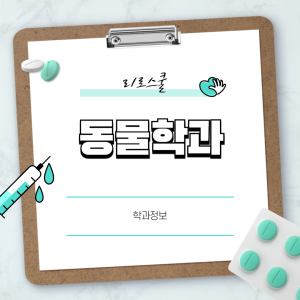 진로정보 이미지