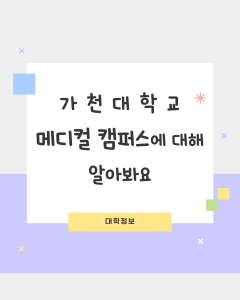 진로정보 이미지