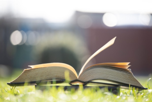 진로정보 이미지