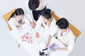 진로정보 이미지