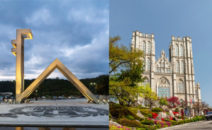 진로정보 이미지