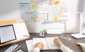 진로정보 이미지