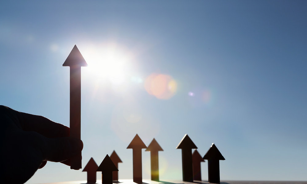 진로정보 이미지