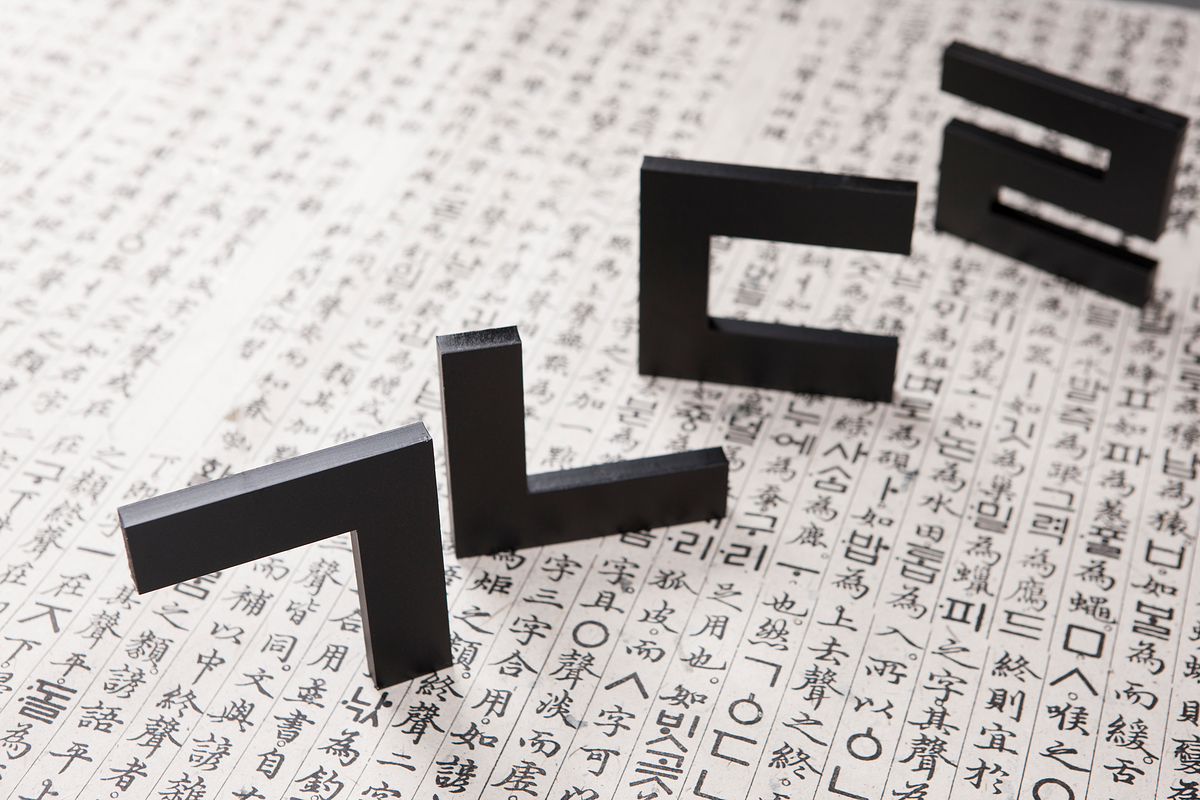 진로정보 이미지