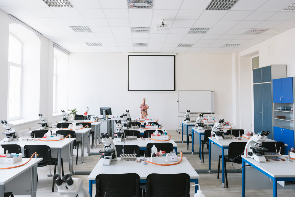 진로정보 이미지