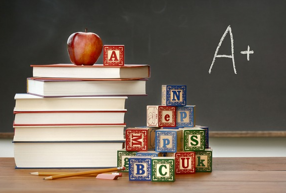 진로정보 이미지