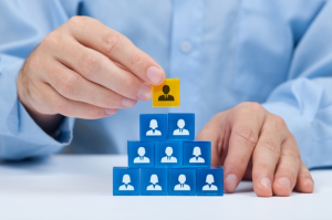 진로정보 이미지