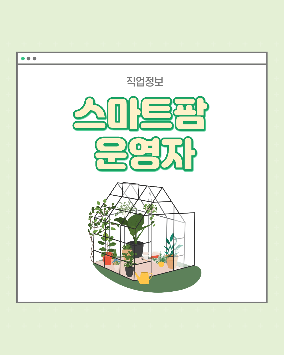 진로정보 이미지