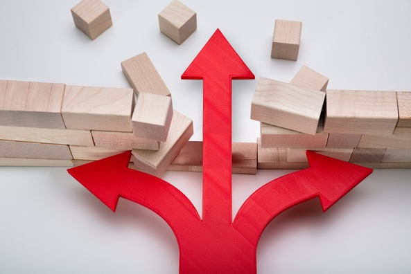 진로정보 이미지