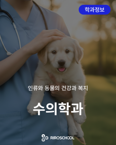 진로정보 이미지