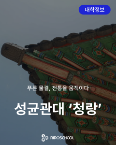 진로정보 이미지