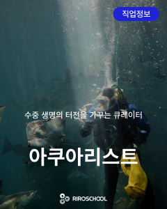 진로정보 이미지