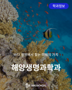 진로정보 이미지