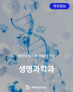 진로정보 이미지