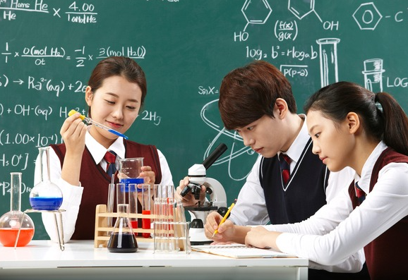 진로정보 이미지